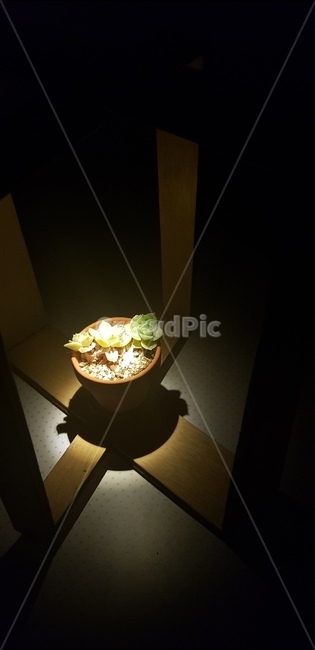 조명,빛,실내조명,조명디자인,실내디자인