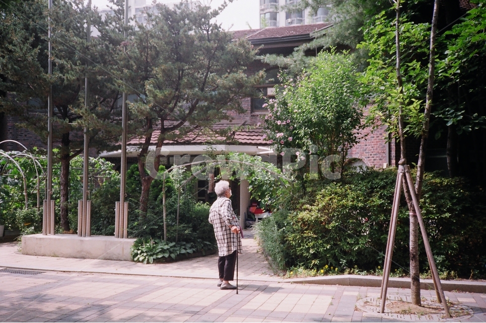 할머니,산책,무궁화,grandmother,roseofsharon