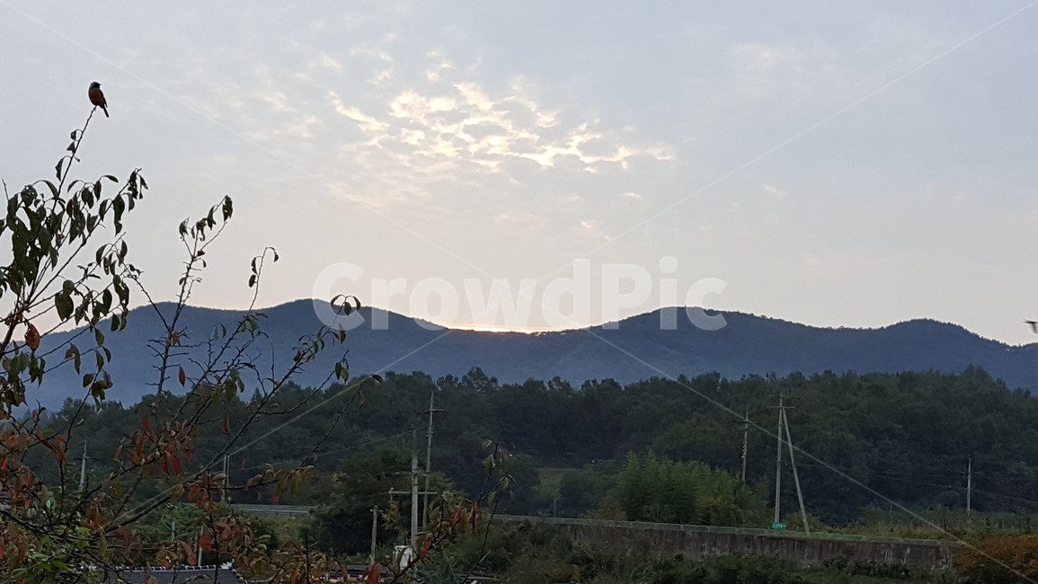 새벽,자연,경치,여명,시골,하늘,자연,풍경,nature,landscape,outdoors,옥외