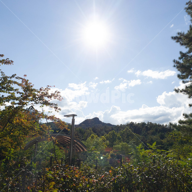 하늘,관악산,자연,가을,구름,서울대,sky,mountain,landscape,fall,cloud,자연,풍경,nature,landscape,flare,플레어,light,빛,outdoors,옥외,vegetation,초목,plant,식물