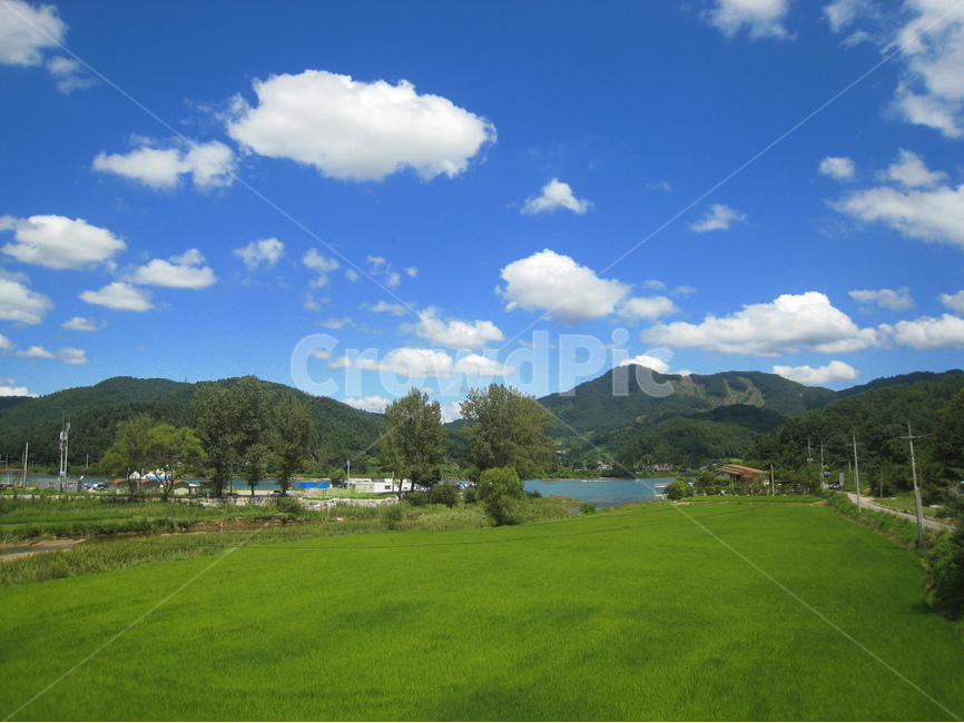 시골,논,하늘,구름,나무,산,파란하늘,흰구름,파랑,녹색,rural,sky,cloud,mountain,blue,white,green,tree,강,river풍경,scenery,Landscape,자연,풍경,nature,landscape,outdoors,옥외,grass,잔디,plant,식물,field,들,grassland,목초지,weather,날씨