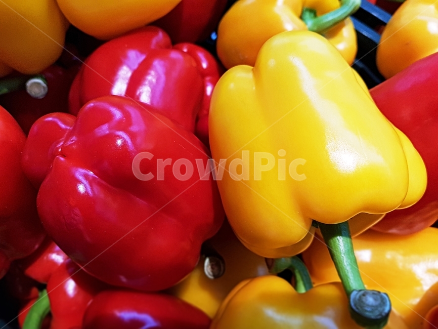 야채,식물,고추,피망,먹을거리,채소,야채,vegetables