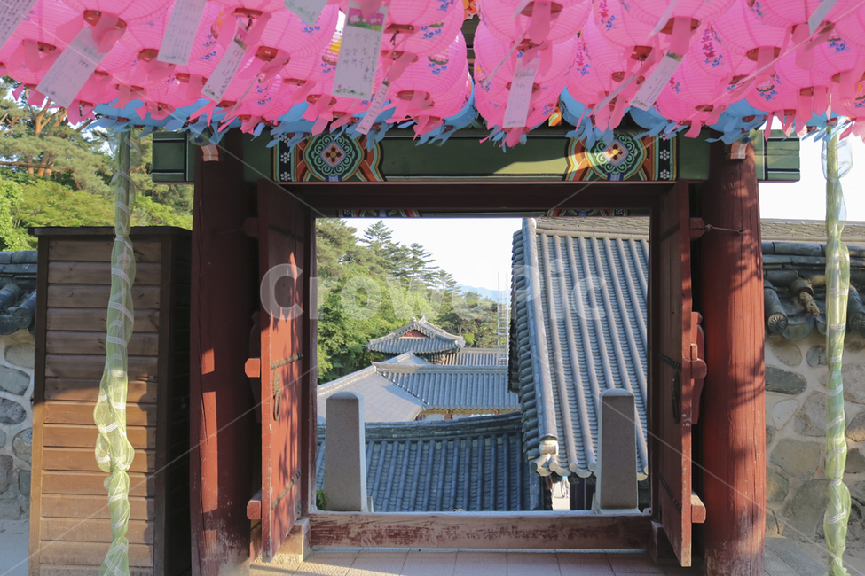 경주,불국사,불교,세계문화유산,한국문화,한국전통,관광지,연꽃,문,입구,연등