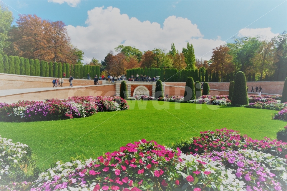 스페인,공원,정원,마드리드,꽃,하늘,spain,park,garden,madrid,flower,sky,산책,walk,자연,풍경,nature,landscape,해외,외국,세계,foreign,oversea,world,grass,잔디,plant,식물,lawn