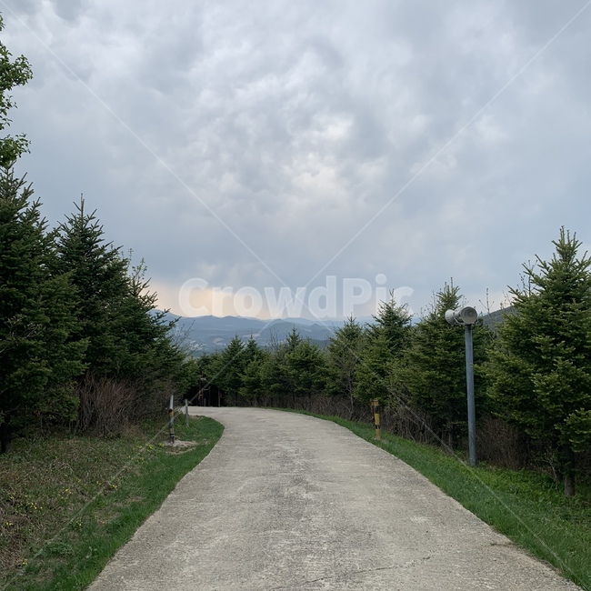 흙길,식물,산,풍경,tree,전나무,자연,풍경,nature,landscape,나무,plant,fir,road,도로,dirt road,gravel,자갈
