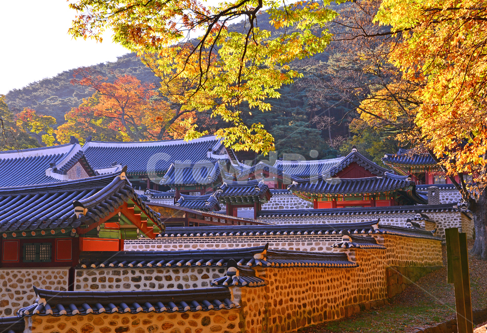 한국전통,남한산성,가을배경,세계문화유산,유네스코,행궁,기와집,돌담,가을서정,가을분위기,단풍나무,시즌,계절,10월,11월,fall,maple,autumn,season,background,mountainfortress,namhansanseongfortress,unescoworldheritage,역사,복원,집,하우스,가을단풍,building,건축물,architecture,건물,전통양식,문화유산,유적지,단청,처마,풍경,야외,옥외,아웃도어,outdoor,가을,계절,fall,autumn,season,한국전통,한국문화,korean traditional,korean culture,랜드마크,landmark,tourist attraction,한국랜드마크,한국관광지,한국명소,korea landmark,korea tourist attraction,shrine,신사,pagoda,탑,temple,신전,worship,예배