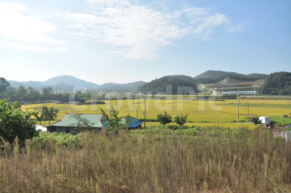 농촌,시골,산,구름,가을,시골,마을,풍경,landscape,country,rural,town