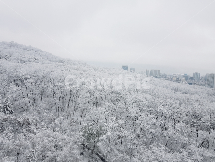 설산,겨울눈,흰눈,눈꽃산,하얀세상
