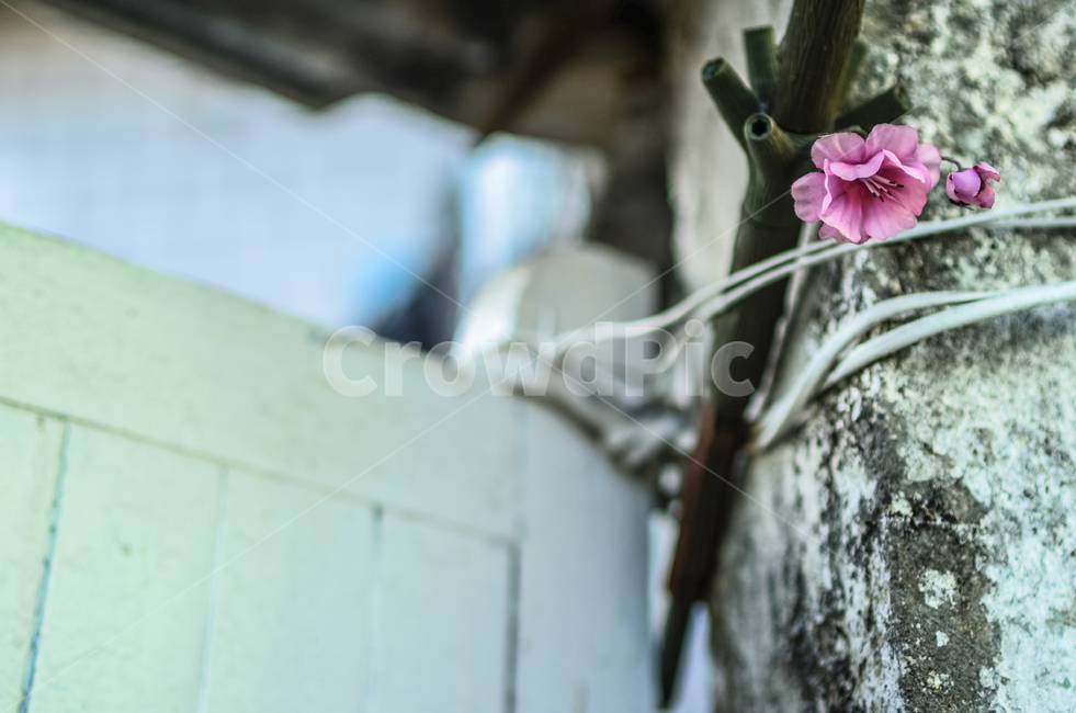 전신주,utilitypole,전봇대,전깃줄,파란,복잡,철거촌,전경,벽돌,개발,낡은,계단,길,오래된,하늘,가로등,대낮,햇살,그림자,창문,내려다보기,동네,집,엑스,어반,표시,하이앵글,city,시티,metropolis,중심지,town,building,건물,좁은,좁은곳,망원,도시가스,가스관,난간,brick,banister,handrail