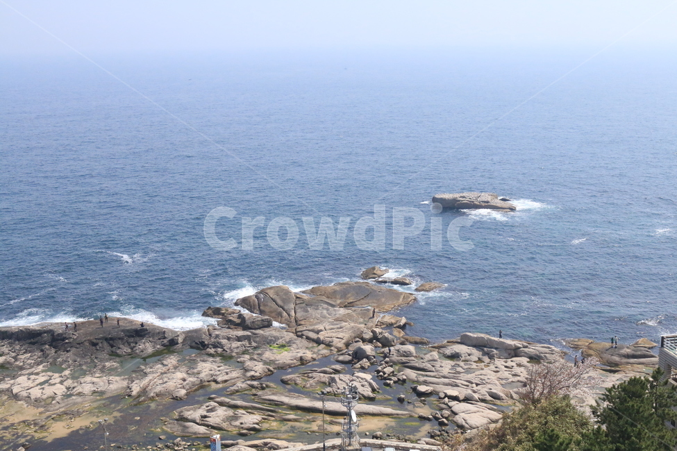 바다,속초,파도,바위,파도거품
