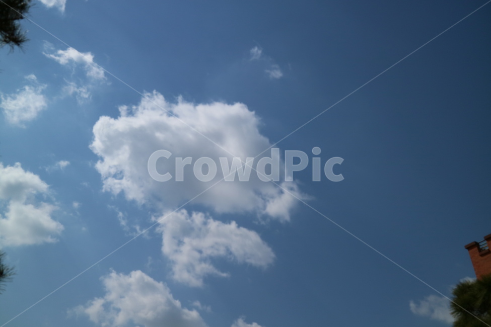 nature,자연,outdoors,옥외,azuresky