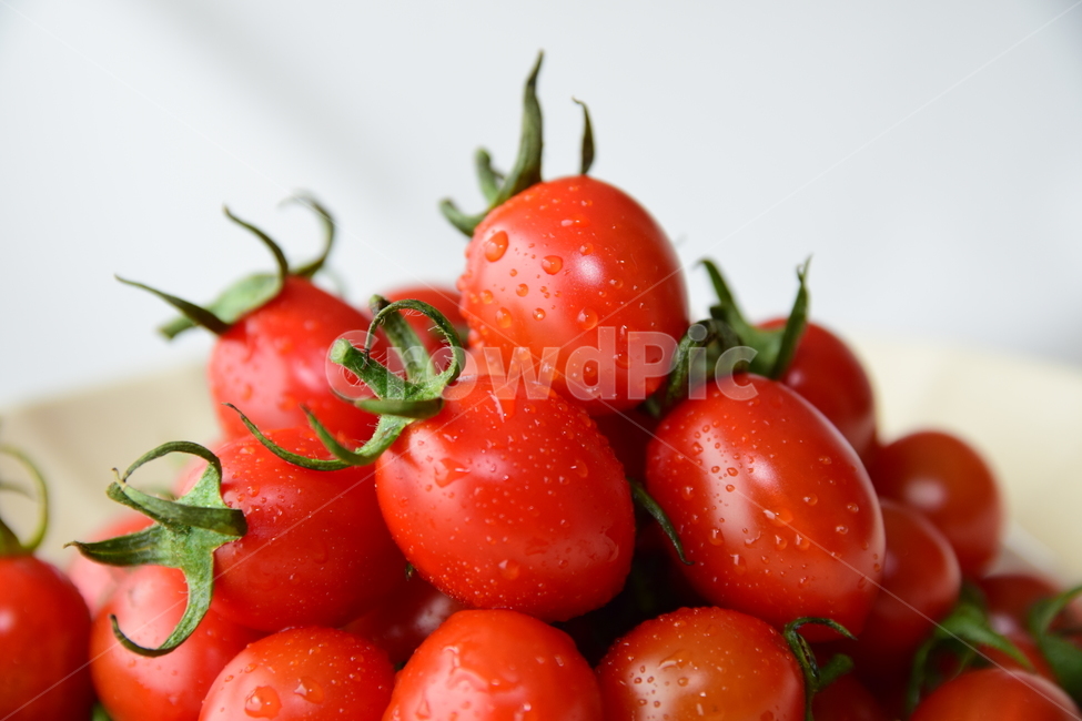 토마토,방울토마토,꼭지,빨간,물방울,맛있는,빨강,디피한,연출한,컨셉,콘셉,delicious,red,dp,concept,tomato,음식,식재료,음식재료,음식,식재료,요리,food,cook,meal,dishes,food reserves,과일,열매,fruit,연출,컨셉,콘셉,direction,concept