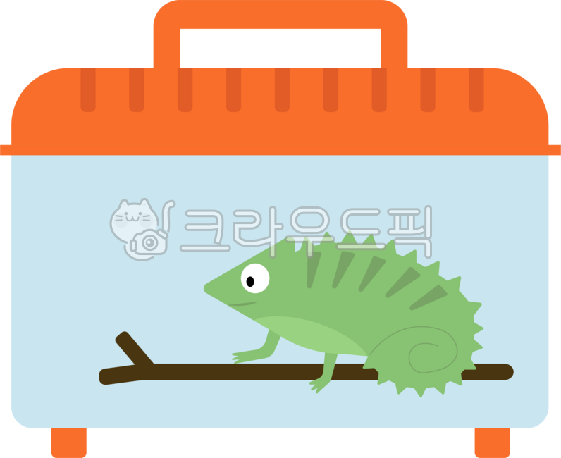 카멜레온,케이지,파충류,카멜레온케이지,카멜레온옆모습,열대지방,애완동물,반려동물,반려동물이동장,이동장케이지
