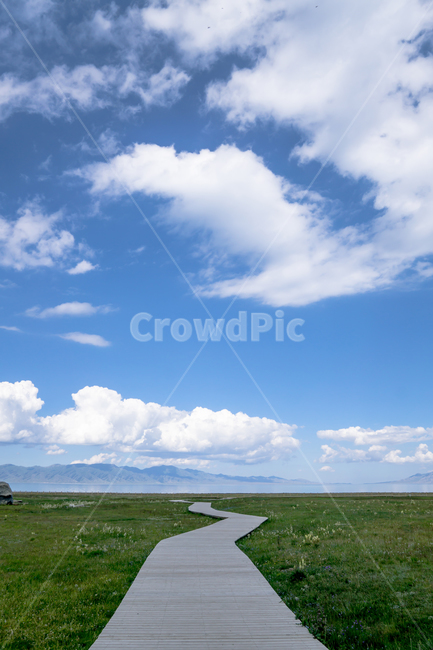 길,초원,들판,하늘,파란하늘,구름,자연,풍경,nature,landscape,outdoors,옥외,sky,azure sky,푸른 하늘,grassland,목초지,field,들,weather,날씨