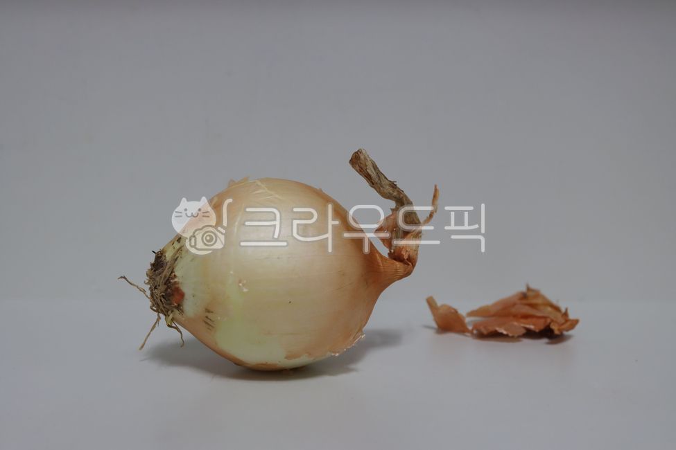 양파,양파껍질,채소,onion,vegetable