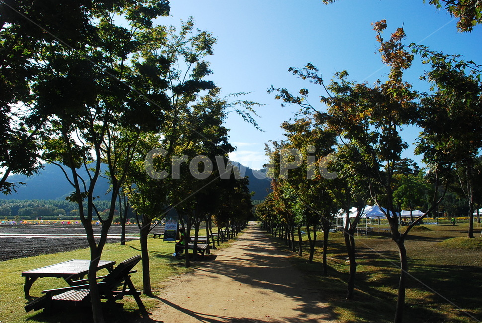 길,나무,벤치,하늘,전원,자연,풍경,nature,landscape,outdoors,옥외