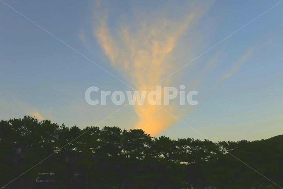 하늘,바다,나무,구름,노울,자연,풍경,nature,landscape,outdoors,옥외,sky