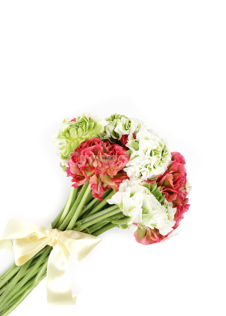 꽃,봄꽃,봄,배경,백그라운드,배경이미지,꽃다발,빨강,흰색,컬러,flowers,background,seasonal,리본,선물,기념일,부케,꽃,flower,누끼,remove background