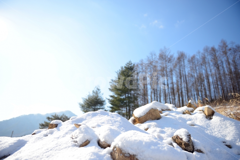 겨울이미지,설경,강원도,시골풍경,순수,겨울,계절,winter,season,자연,풍경,nature,landscape,outdoors,옥외