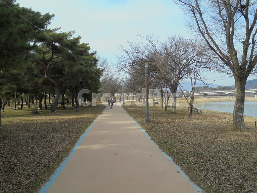 자연,자연물,하늘,구름,풀,땅,햇빛,흙,nature,tree,sky,sun,나뭇가지,공기,air,자연,풍경,nature,landscape,path,통로,나무,plant,식물