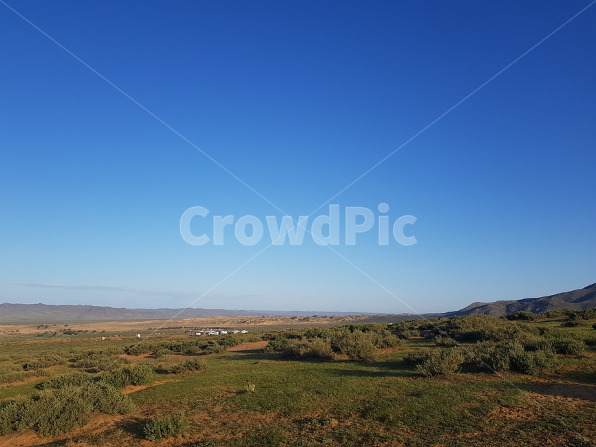 자연,나무,풀,숲,하늘,몽골,nature,sky,outdoors,mongolia