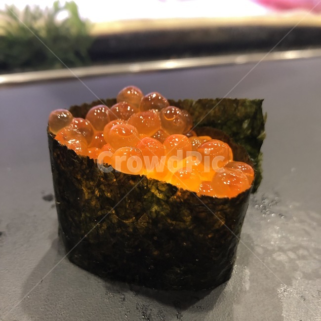 일본,초밥,군함,스시,도쿄