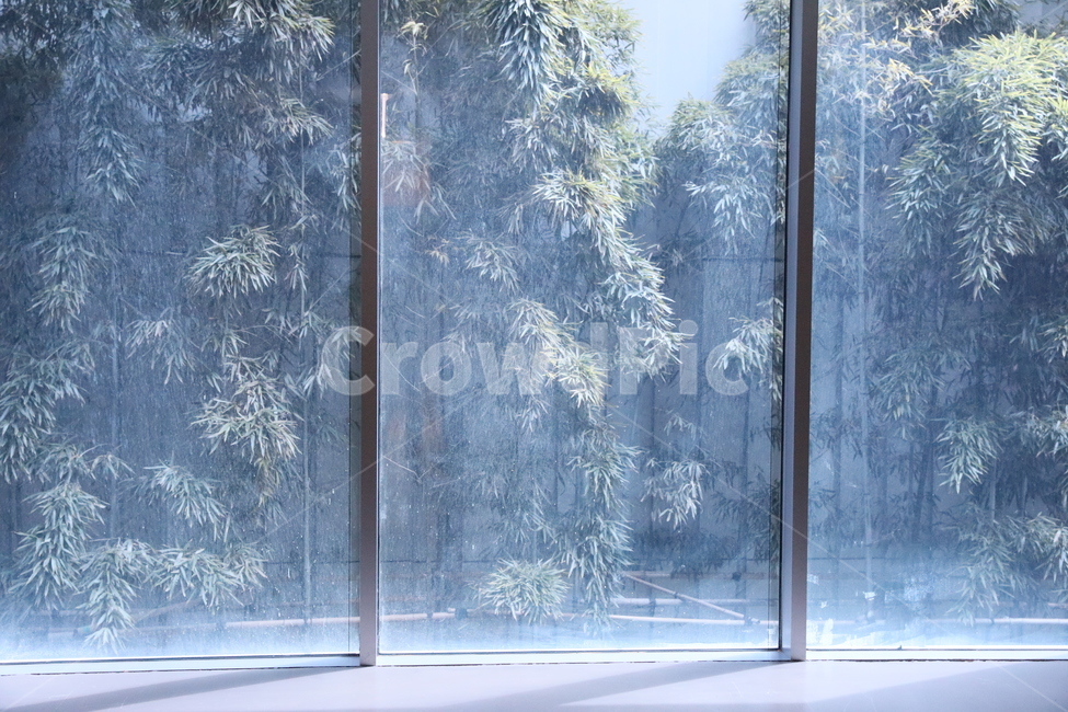 아시아문화전당,대나무,창,창밖풍경,감성사진,인테리어,실내디자인,interior design