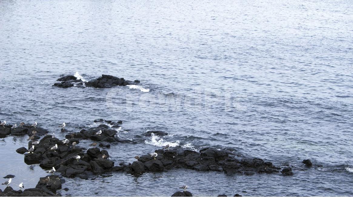 바다,물,water,sea,ocean,대양,자연,nature,자연,풍경,nature,landscape