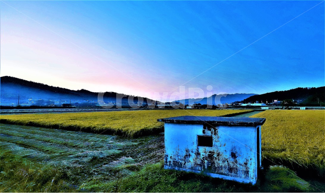 가을,추수,풍년,감성,들녁,시골,마을,풍경,landscape,country,rural,town,산업,industry,industrial,농업,농사,agriculture,farming,farming industry