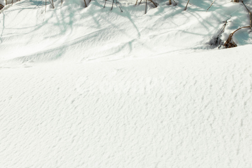 눈,겨울,눈밭,발자국,중산간,겨울,계절,winter,season