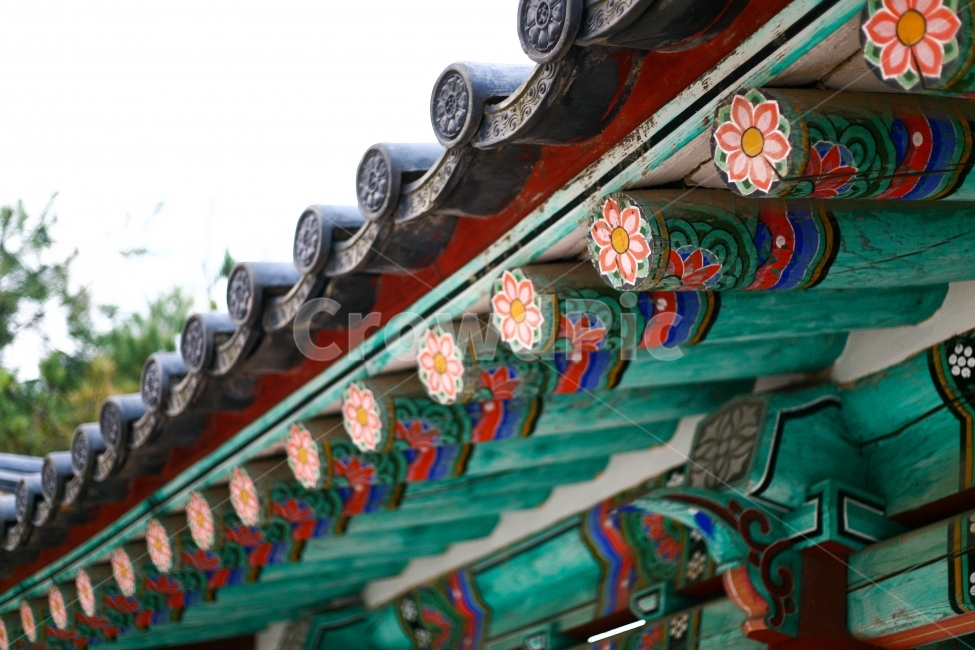 절,사찰,연꽃,처마,한국전통,한옥,건축,한국전통,한국문화,korean traditional,korean culture,건축물,건물외관,exterior,building,structure,architecture,construction