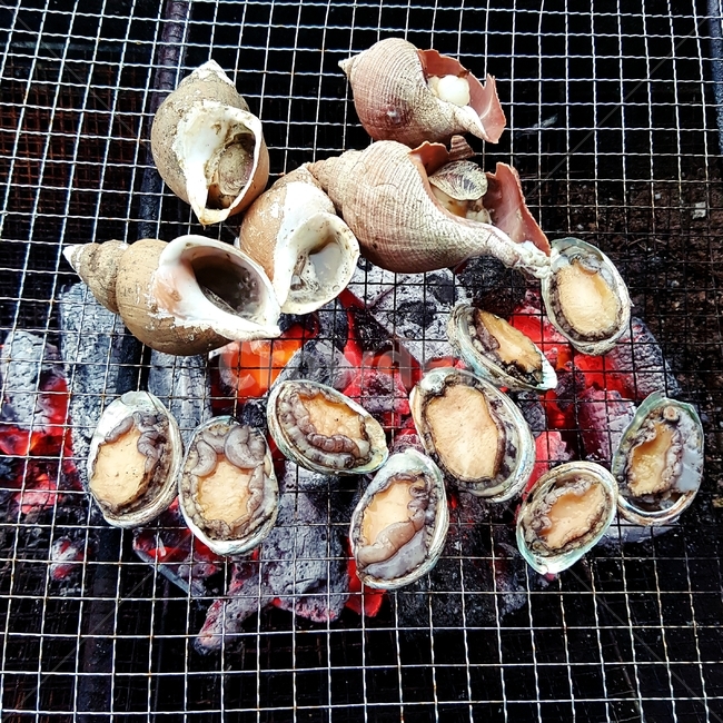 음식,전복,소라,바베큐,구이,전복구이,소라구이