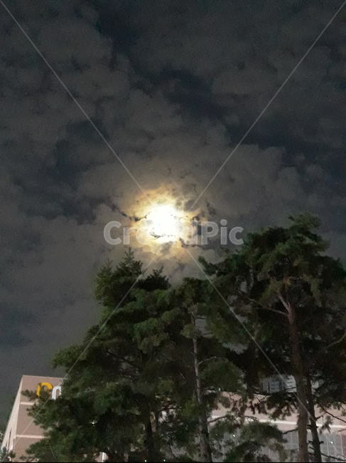 달무리,ringaroundthemoon,moonlight,southkorea,달빛,야경,밤,풍경,nightscape,night,landscape