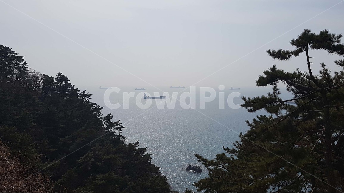 바다,바닷가,파도,해안가,수평선,자연,풍경,절경,해안도로,하늘,절벽,해안절벽,나무,윤슬,물거품,부산,이기대,해파랑길,겨울바다,파란색,바위,자연,풍경,nature,landscape