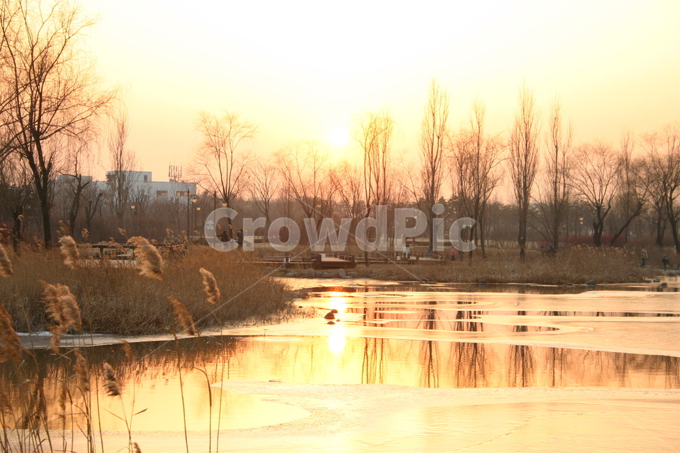 석양,노을,일몰,태양,해,호수,강,저녁,하늘,평화로움,조용,시골,갈대,억새,sunset,lake,water,sky,sun,landscape,sunrise,nature,clouds,trees,river,reflection,morning,dusk,forest,tree,orange,fog,dawn,yellow,evening,beautiful,silhouette,pond,golden,memory,recollection