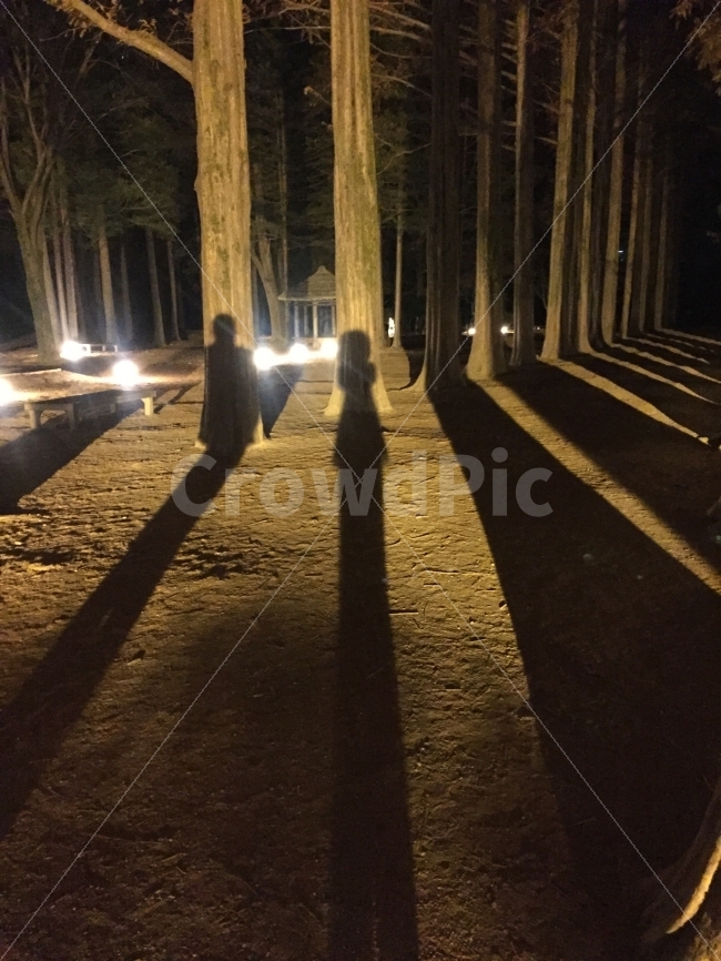 실루엣,그림자,나무,연인,착시현상,밤,어둠,빛,대비,야경,밤,풍경,nightscape,night,landscape,사람,인물,인간,human,person,연인,커플,사랑,lover,couple,인물실루엣,사람실루엣,character silhouette,human silhouette,light,flare,플레어