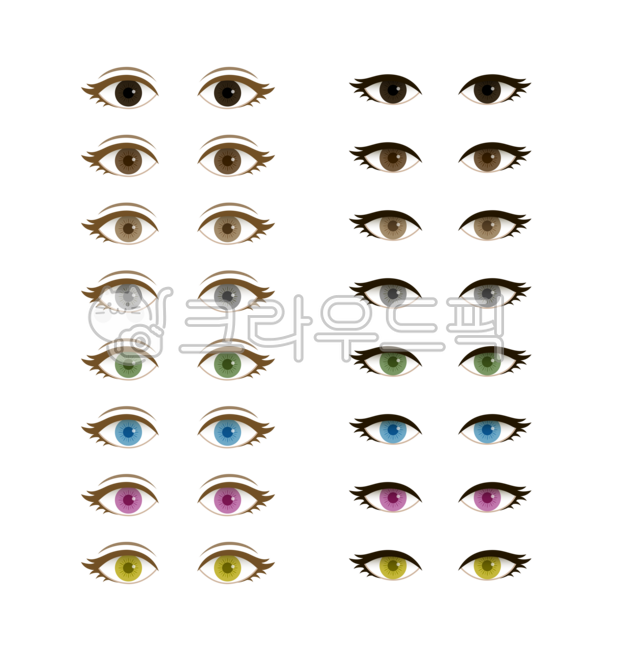 다양한,종류,눈,눈동자,안구,렌즈,컬러,색,색상,색깔,아시안,동양인,서양인,쌍커풀,검은,검정,검정색,갈색,회색,초록,초록색,파란,파란색,분홍,분홍색,붉은,노란,노란색,뷰티,미용,예쁜,여자,여성,캐릭터,만화,아이콘,일러스트,세트,비교