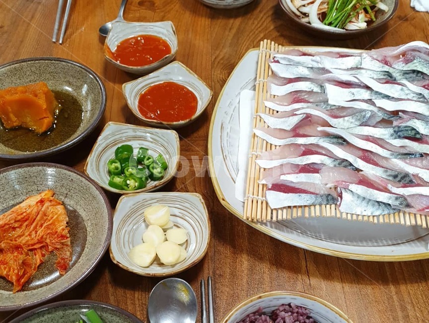 고등어회,고등어,회,횟집,제주도고등어,음식,food