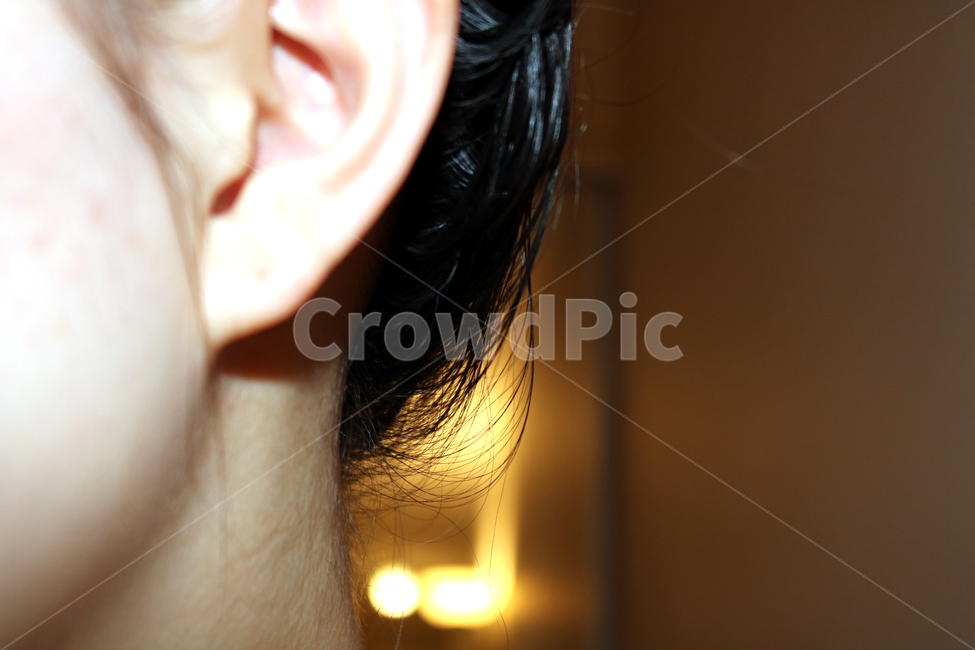 babyhairs,thinhairs,softhairs,잔머리,머리카락,귀,뒷덜미,ear,사람,인물,인간,human,person,신체일부,몸,body,여성,여자,woman,female,lady
