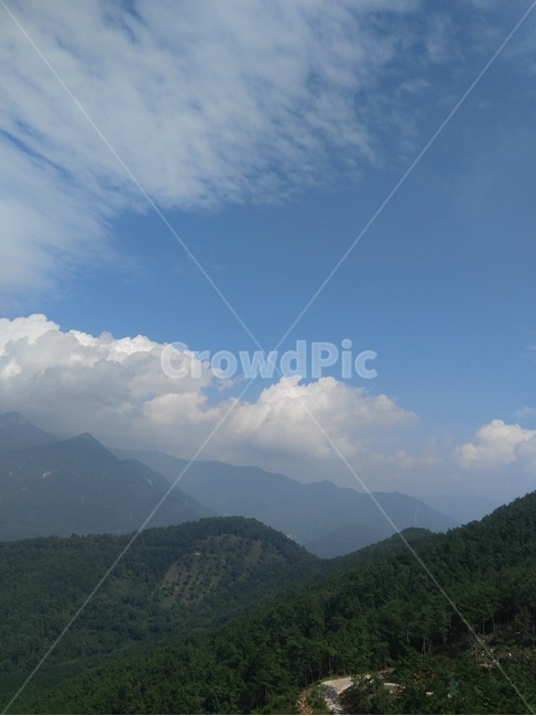 안개,나무,숲,구름,하늘,자연,풍경,nature,landscape,outdoors,옥외,weather,날씨