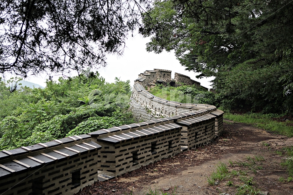 남한산성,성,성곽,숲,숲길,길,둘레길,벽,담,돌담,풍경,여름