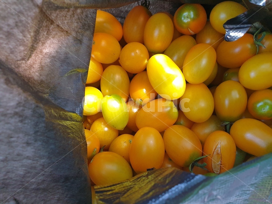 토마토,방울토마토,노란색토마토,대추토마토,tomato,식물,노란색,수확,농사,농부,과일,fruit,음식,건강식,채소,야채