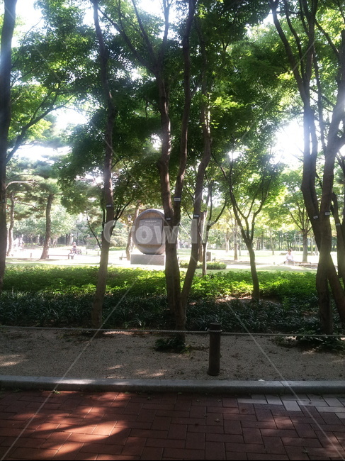 대구,공원,산책,나무,햇빛,자연,풍경,nature,landscape,garden,정원,outdoors,옥외,arbour,정자,tree,plant,식물