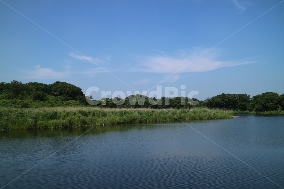 제주,에코랜드,호수,자연풍경,자연,자연,풍경,nature,landscape,water,물,outdoors,옥외