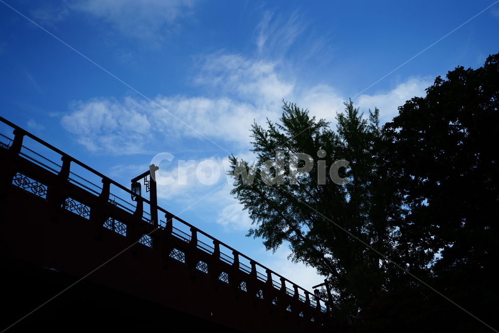 하늘,구름,풍경,sky,cloud,자연,난간