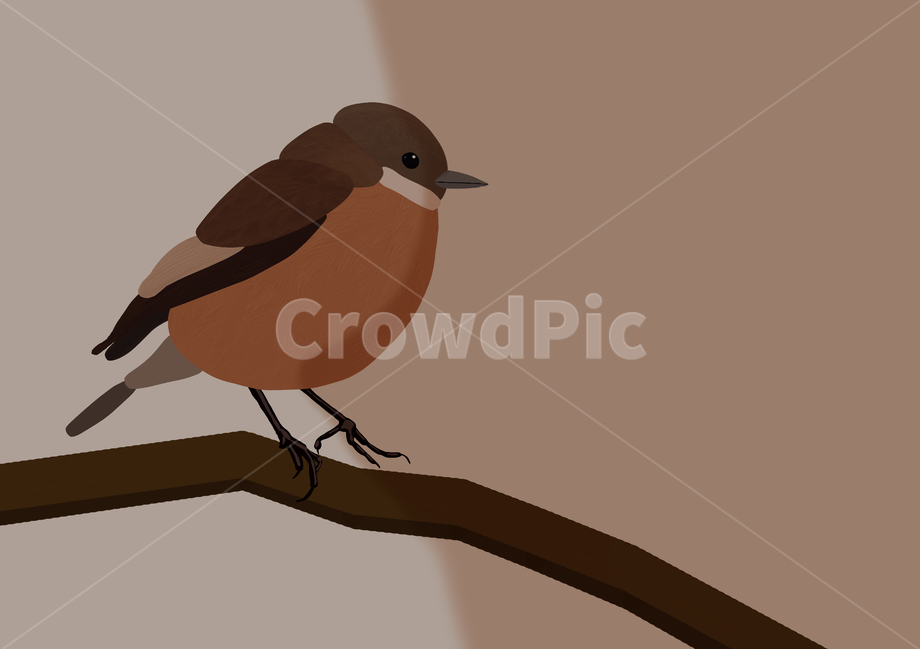 animal,동물,bird,새,나무