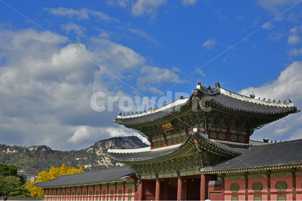 경복궁,gyeongbokgungpalace,문화재,사적,유적,궁궐,정궁,북궐,한국전통,한국문화,korean traditional,korean culture,랜드마크,landmark,tourist attraction,한국랜드마크,한국관광지,한국명소,korea landmark,korea tourist attraction,건축물,건물외관,exterior,building,structure,architecture,construction