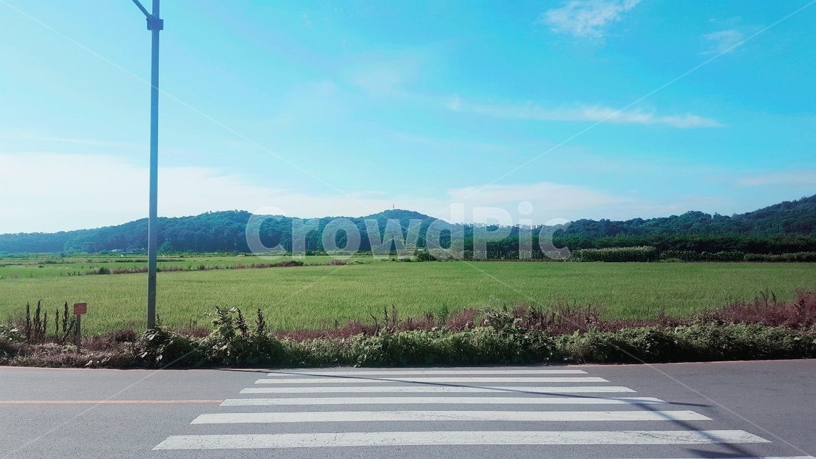 도로,산,논,하늘,road