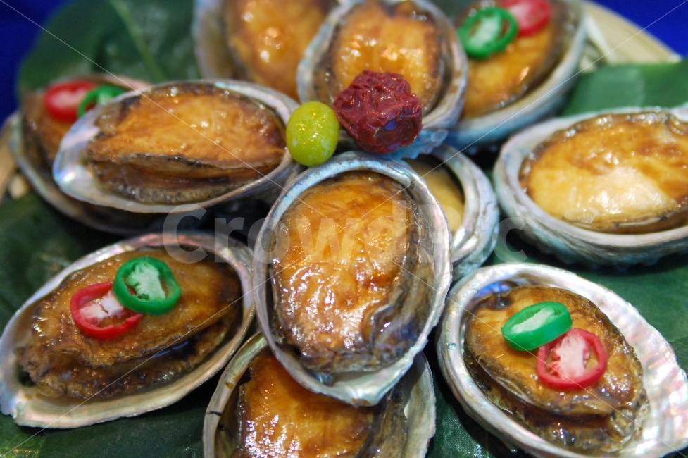 전복,조개,패류,어패류,해물,해산물,수산물,요리,음식,오브젝트,음식,식재료,요리,food,cook,meal,dishes,food reserves,수산물,해산물,fishery products,seafood