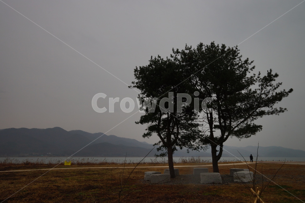 나무,가을,비,가을비,스산한,가을,계절,fall,autumn,season,자연,풍경,nature,landscape,한국자연풍경,한국자연경관,korea nature landscape,식물,plants,나무,trees,wood,outdoors,옥외,human,인간,person,사람